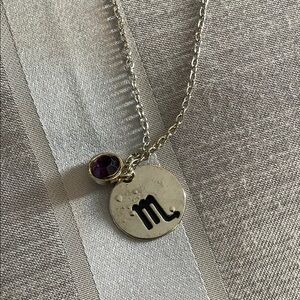 Silver Scorpio Necklace with Purple Charm